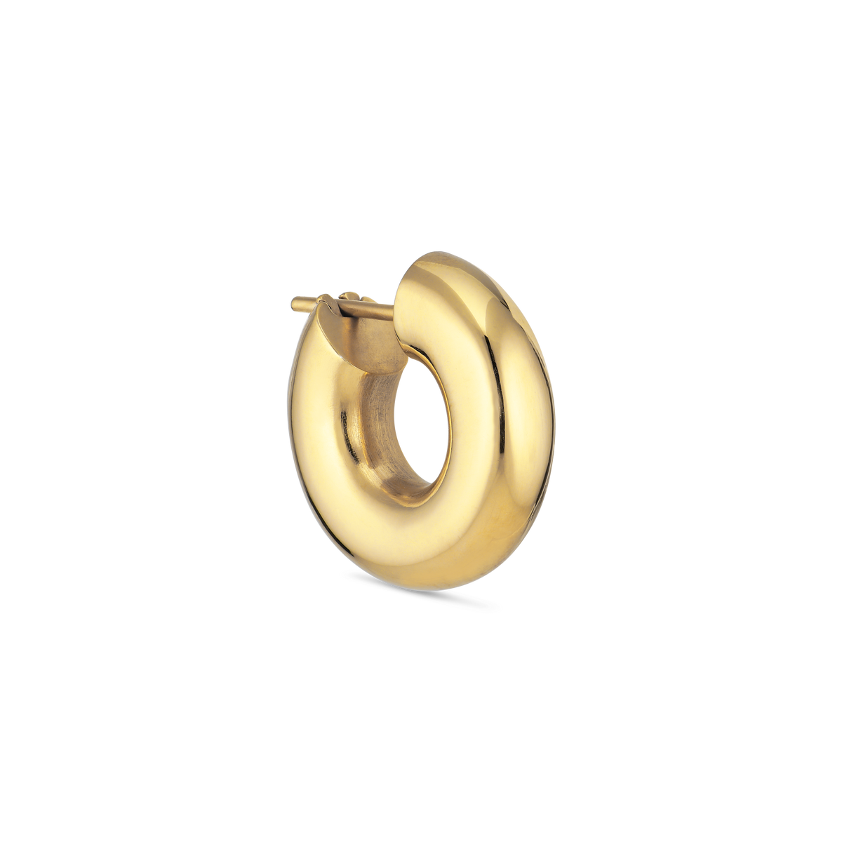 Preloved Shiny Small Chunky Hoops