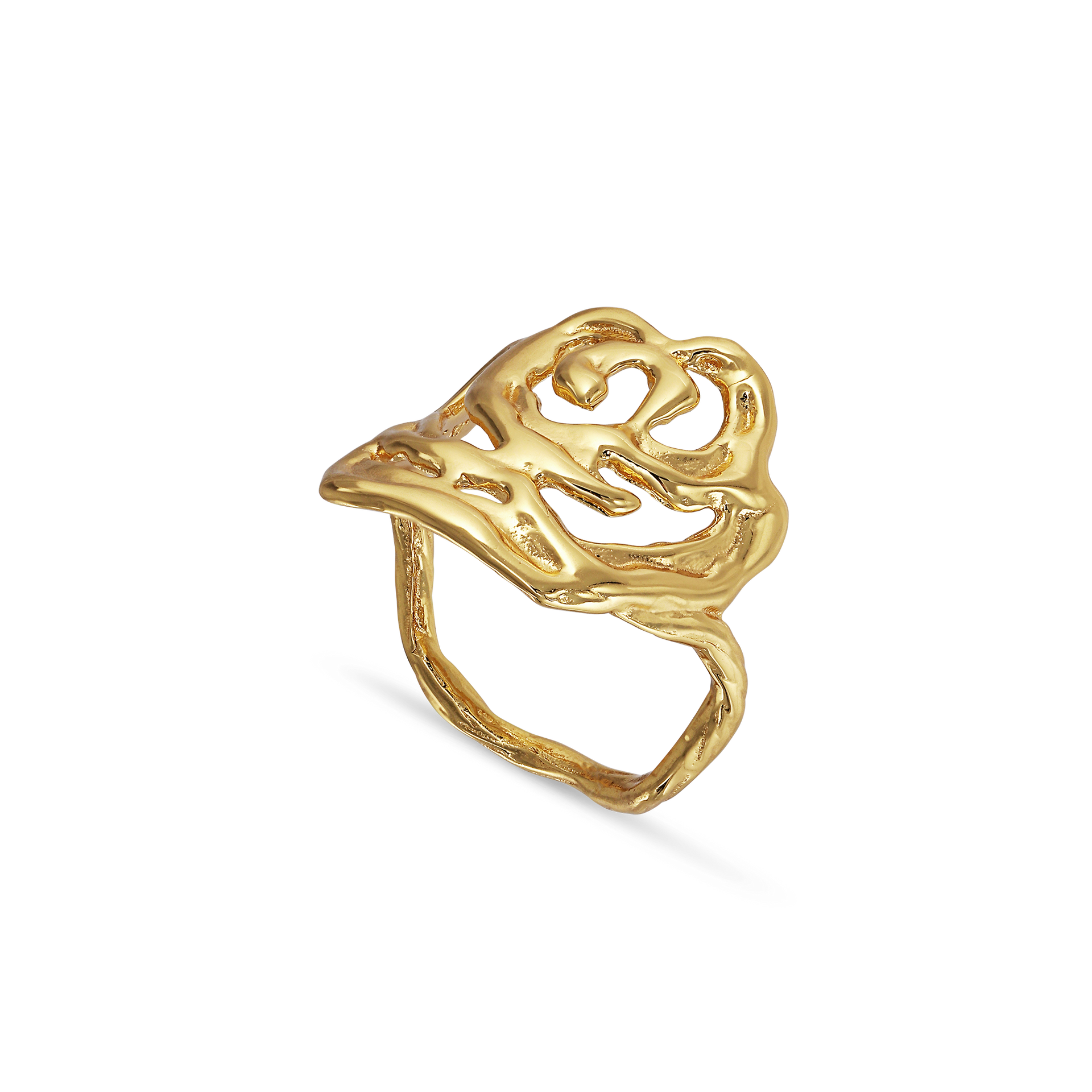 BRR-HOL23-G_1_6b96d109-af37-